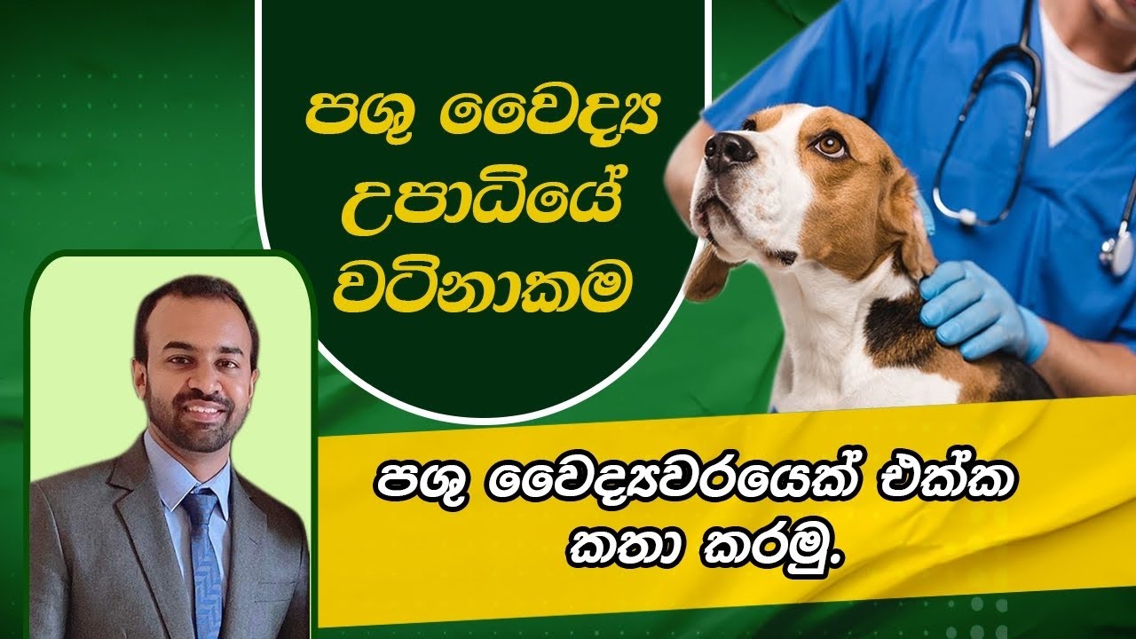 Veterinary Medicine ගැන හැමදේම දැනගමු..