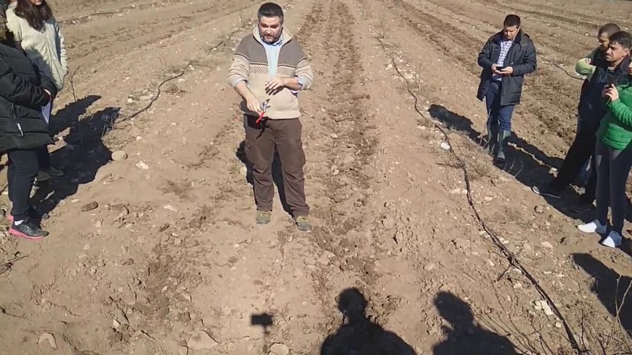 Семинар по рязане на лешник с Алберто Вакка в Голямо Дряново