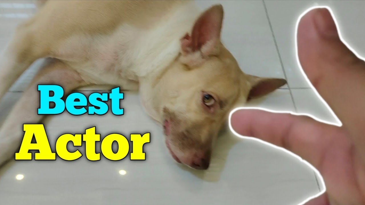 Pang Best Actor yung Actingan ni Theo