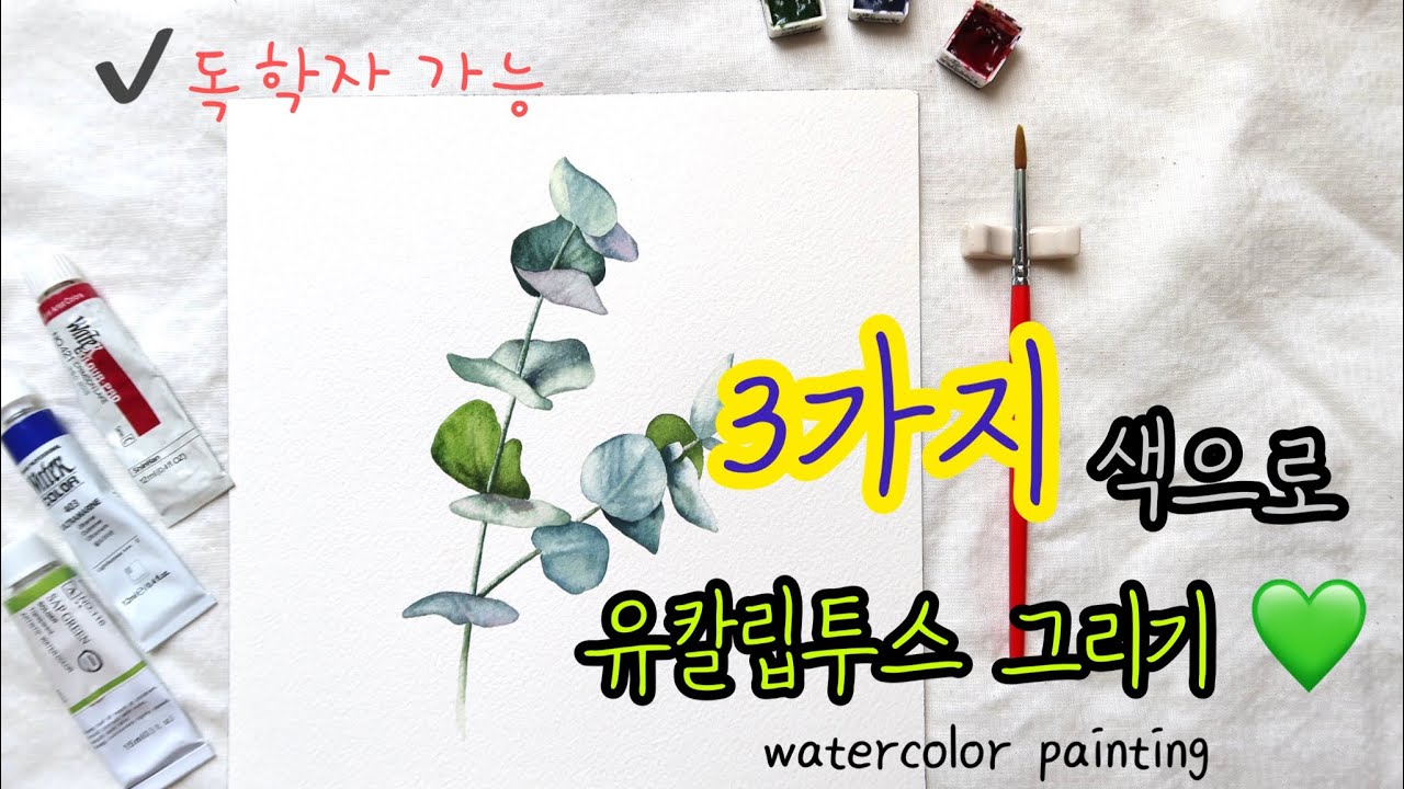 3가지 색으로 유칼립투스 그리기🌿(도안 제공)| 초보자를 위한 감성 수채화 🖌| watercolor painting