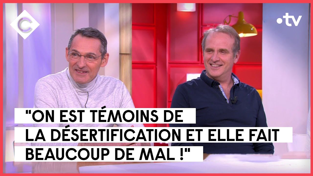 Le phénomène Bodin’s - C à Vous - 17/04/2023