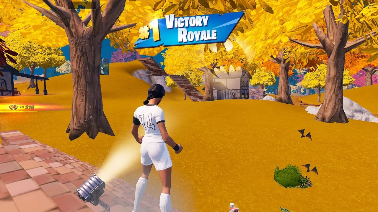Clinical Crosser gameplay solo squad 24 elimination (chapter 4)