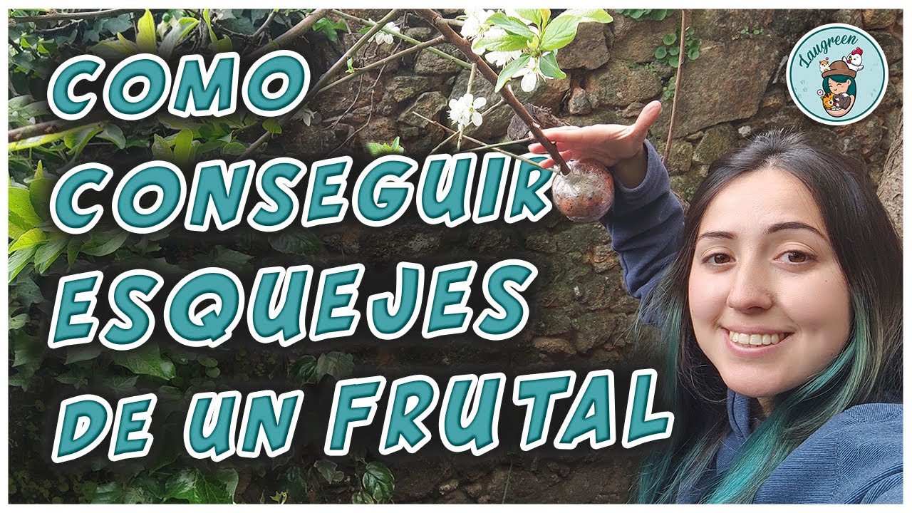 Como sacar Esquejes Enraizados de los Frutales