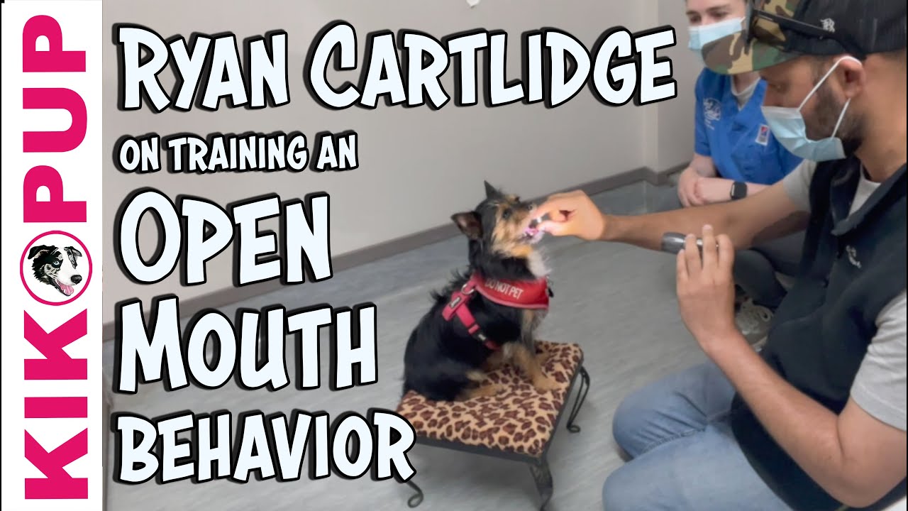 Special Guest - Ryan Cartlidge - Training an Open Mouth Behavior