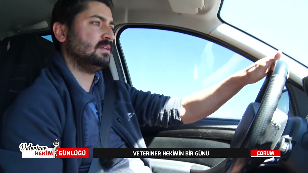VETERİNER HEKİM GÜNLÜĞÜ - 18.05.2021
