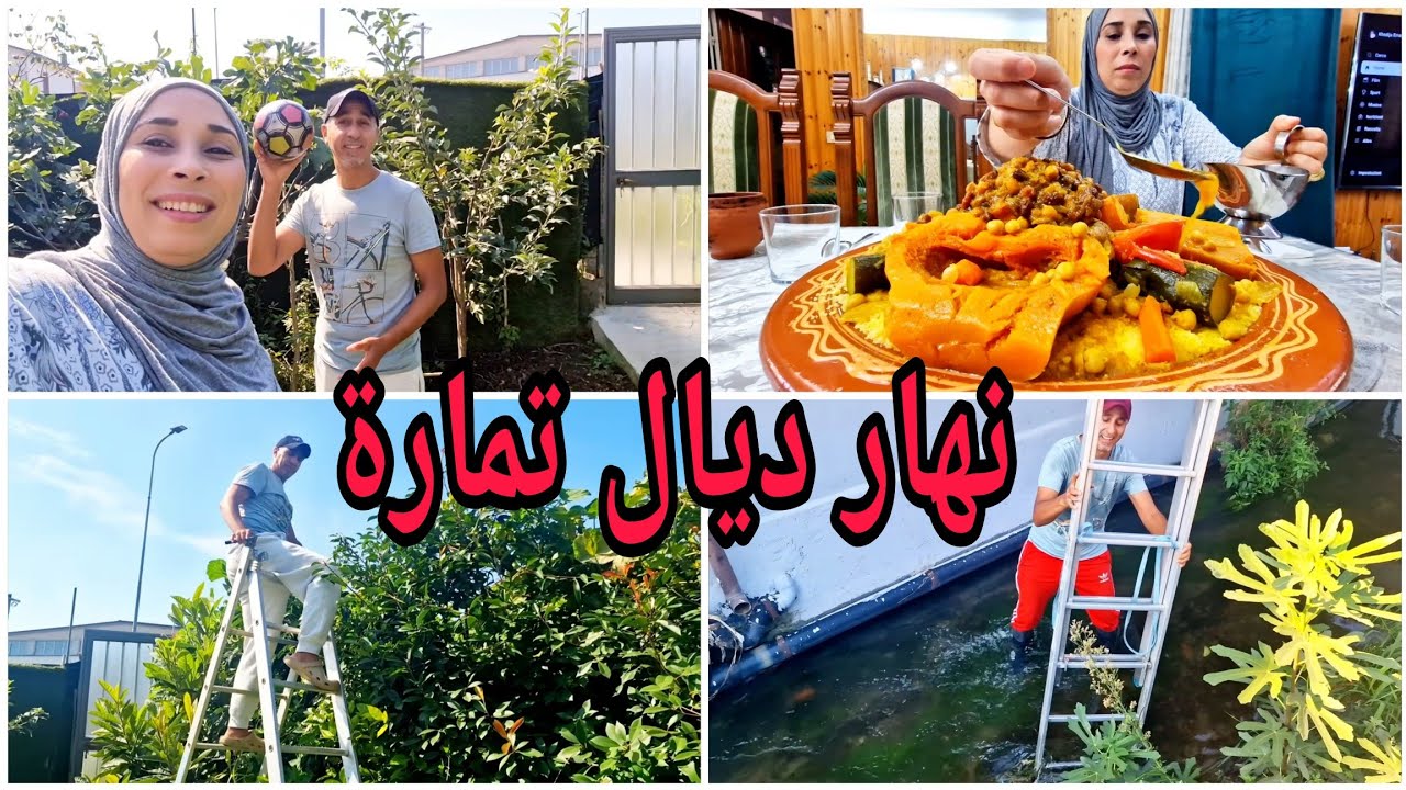 غير هاز سلومو و دايع 😂 شاركنا معاكم نهارنا صاوبت بداز  وعمر صاوب الضو لدار على برا 😜🦜