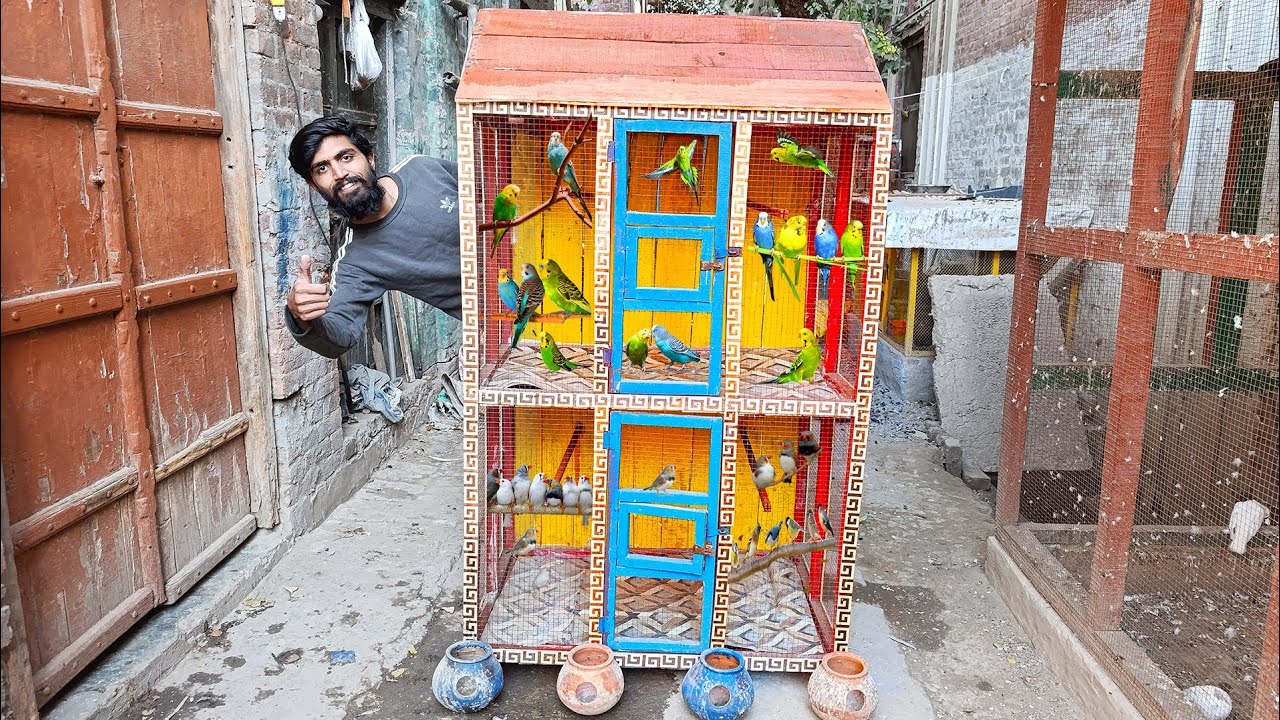 I Spent 2 Days Renovate My Dream Parrot Cage