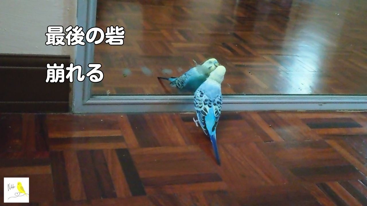 最後の砦、崩れる
