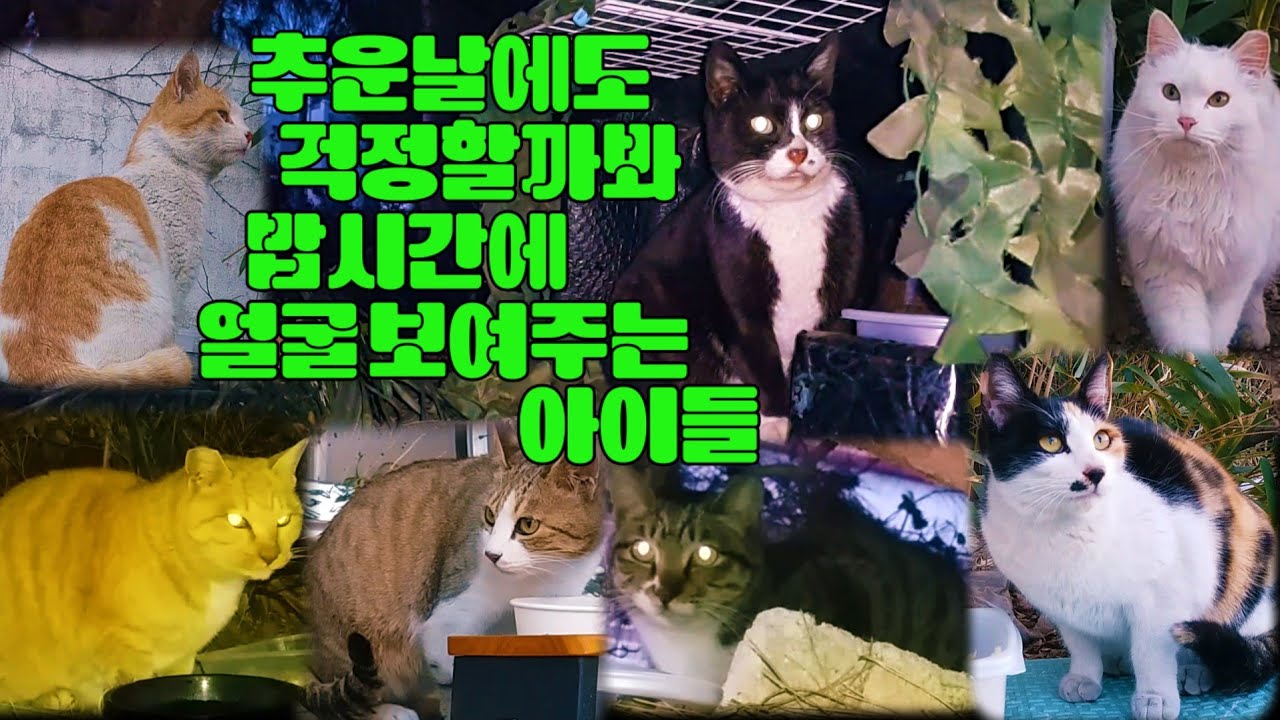 추운날에도 엄마 걱정할까봐 밥시간에 얼굴 보여는 주는 아이들