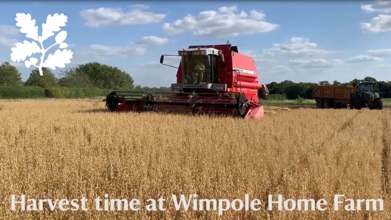 Harvest time at Wimpole Estate
