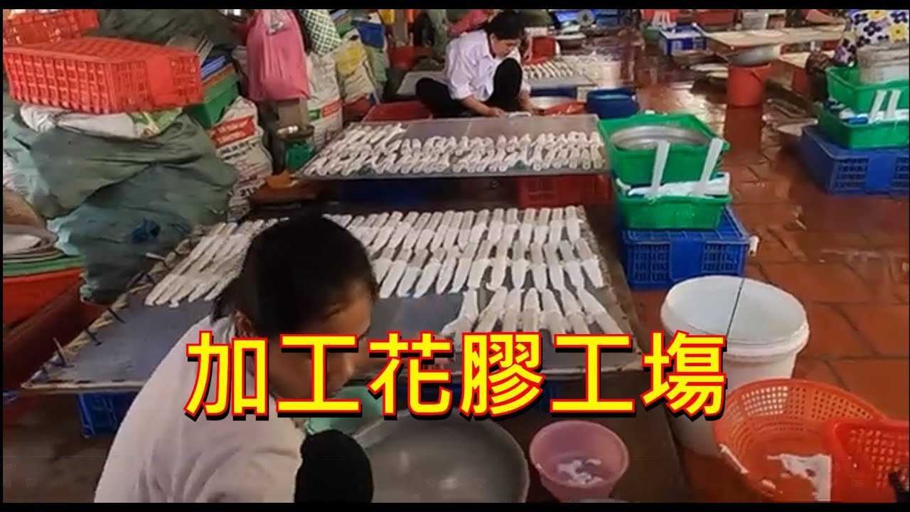 加工花膠工塲 -