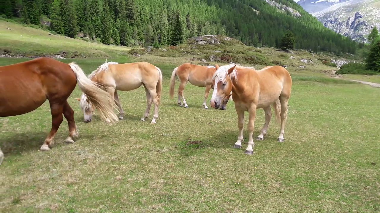 Val di Fumo