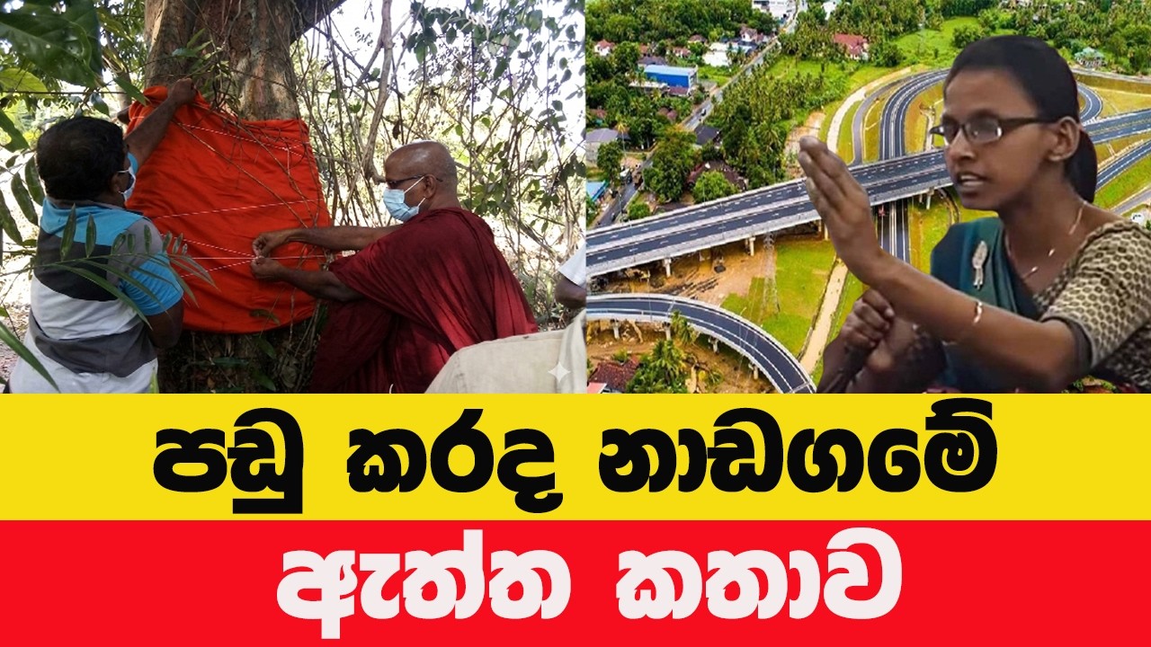 එක ගහක් නිසා කෝටි 98ක වන්දියක්? මධ්‍යම අධිවේගී මාර්ගයේ පඬු කරඳ ගසේ අන්තිම ප්‍රතිඵලය මෙන්න!