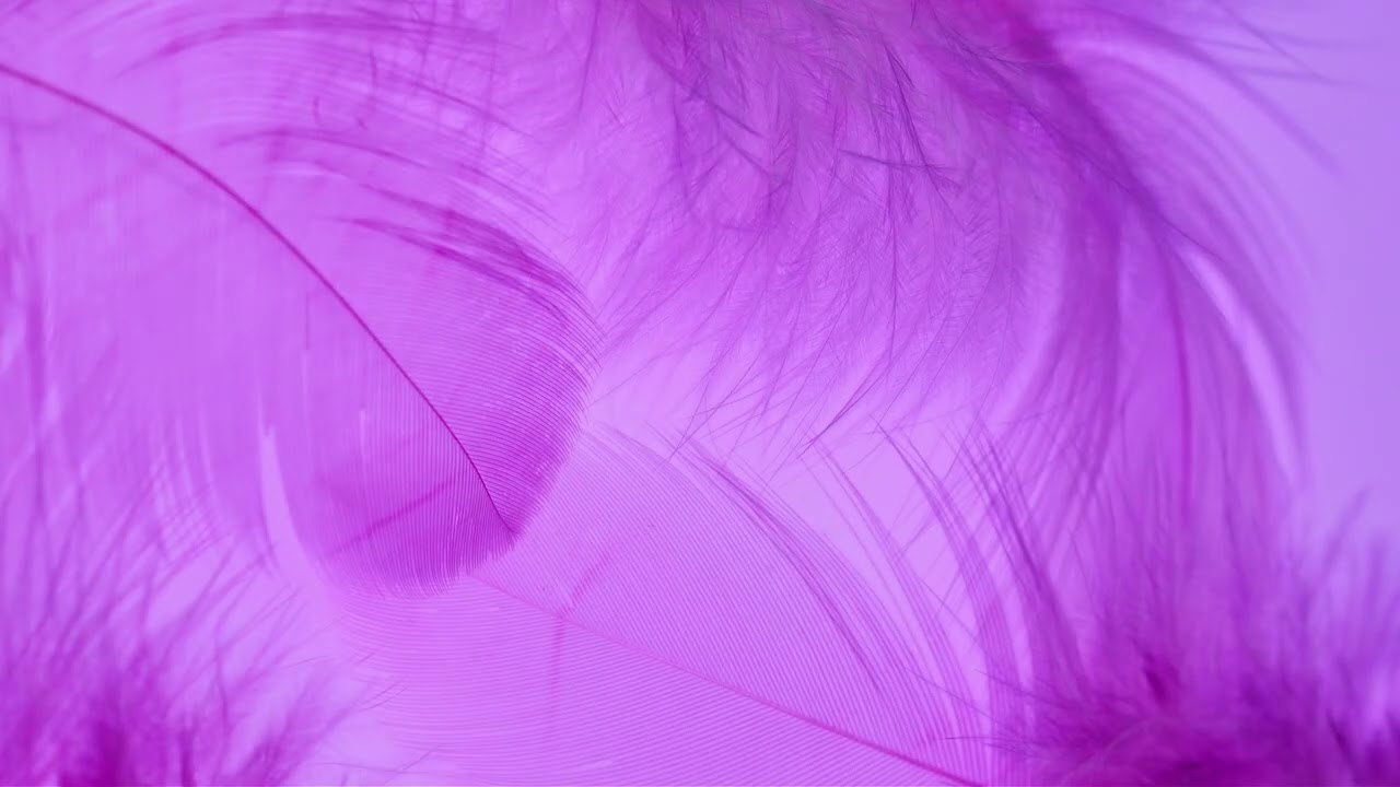 [FREE] - SZA R&B Type Beat 