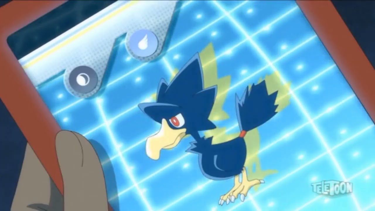 Murkrow and Honchkrow Pok&eacute;dex Entries..wmv