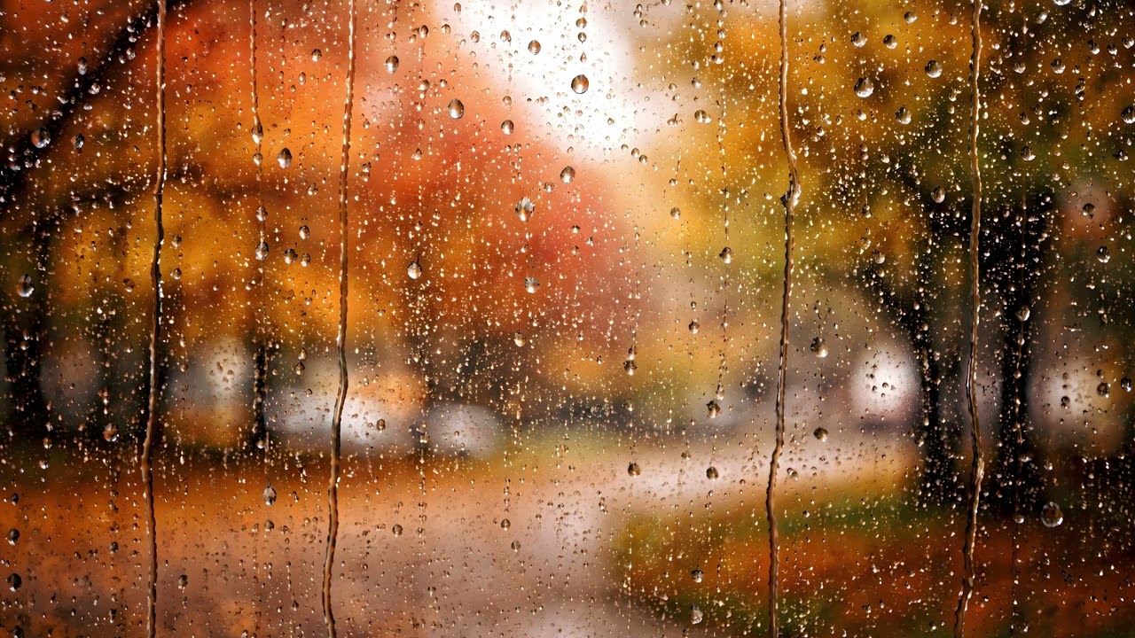 4K AUTUMN RAIN TV Background - Window View - 1 Hour Moody Season / Moody Nature Frame