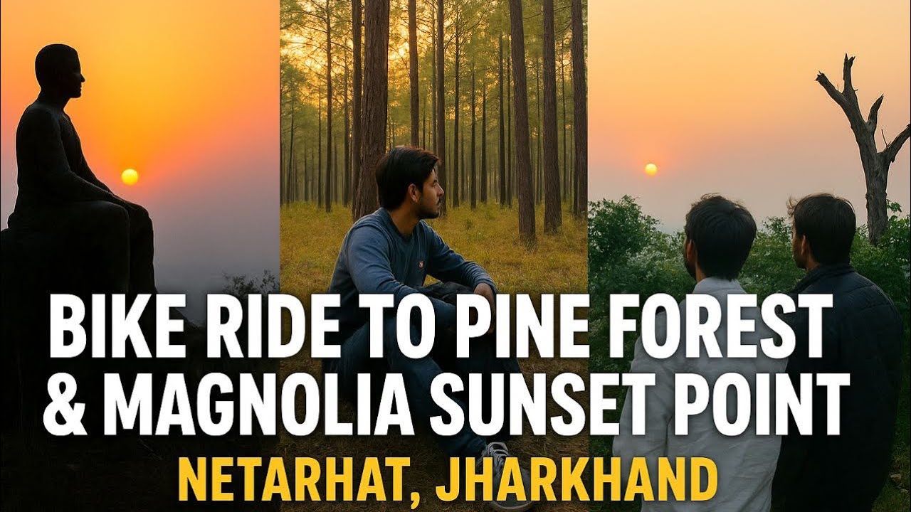  Netarhat Sunset Point 🌤️Discovering the Serene Pine Forest 