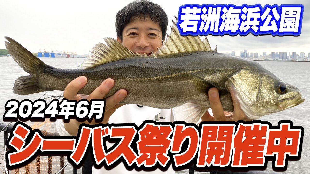 【若洲海浜公園】60cmシーバスが簡単に釣れる！いま湾奥が熱い！