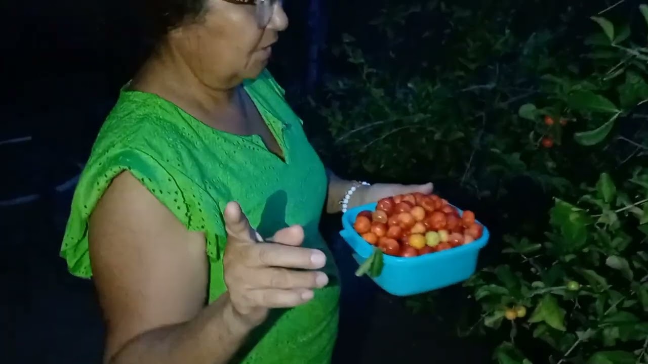 Eu indo na casa 🏠  do meu genro  pegar acerola. 