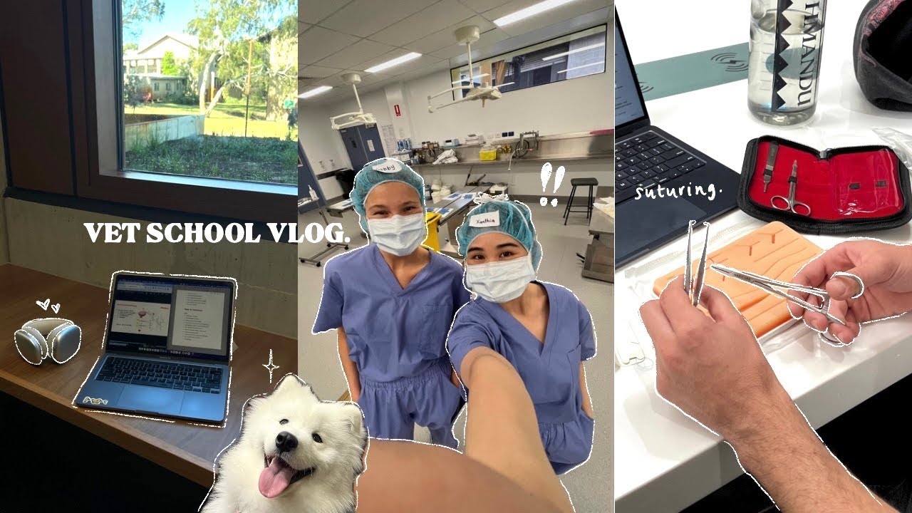STUDY VLOG 🎧 surgery exams, caffeine addiction, realistic week, more lectures