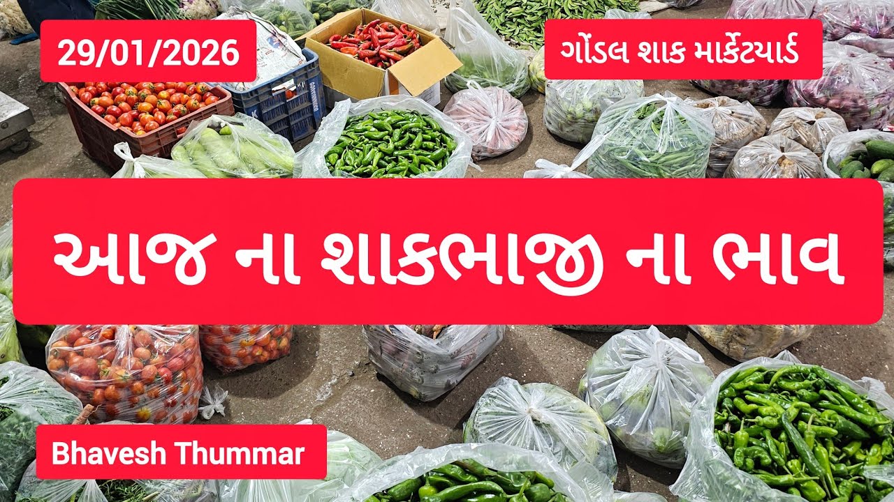 આજ ના શાકભાજી ના બજાર ભાવ l 29/01/2026 l Bhavesh Thummar l Gondal Apmc #youtube #video #trending