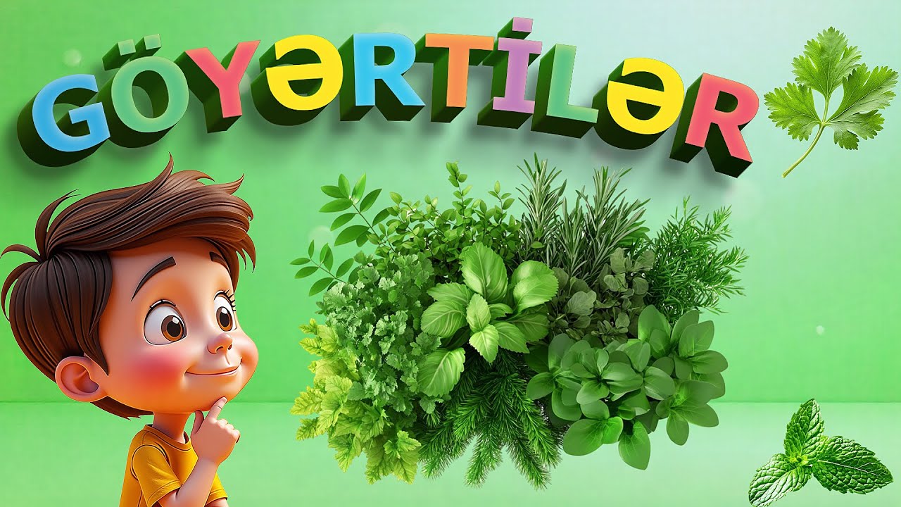 Göyərtilər 🌿  | Nanə, Cəfəri, Keşniş, Şüyüd 😄 | Öyrədici video uşaqlar üçün #uşaqkanalı