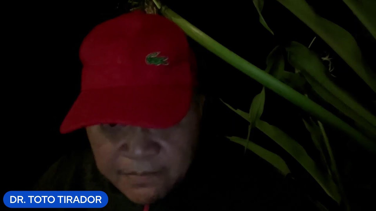 REMULLA, GALIT SA 18 SOLDIERS, LACSON, SOTTO HULI SUMAKAY HELICIPTER NG PERA
