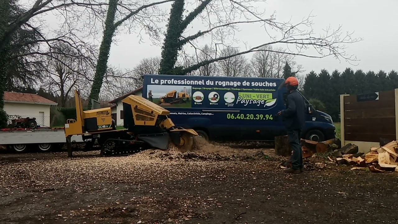 Rognage de souche d'un tilleul 120cm, rogneuse/dessoucheuse sc48tx de Vermeer, rapide et efficace !!