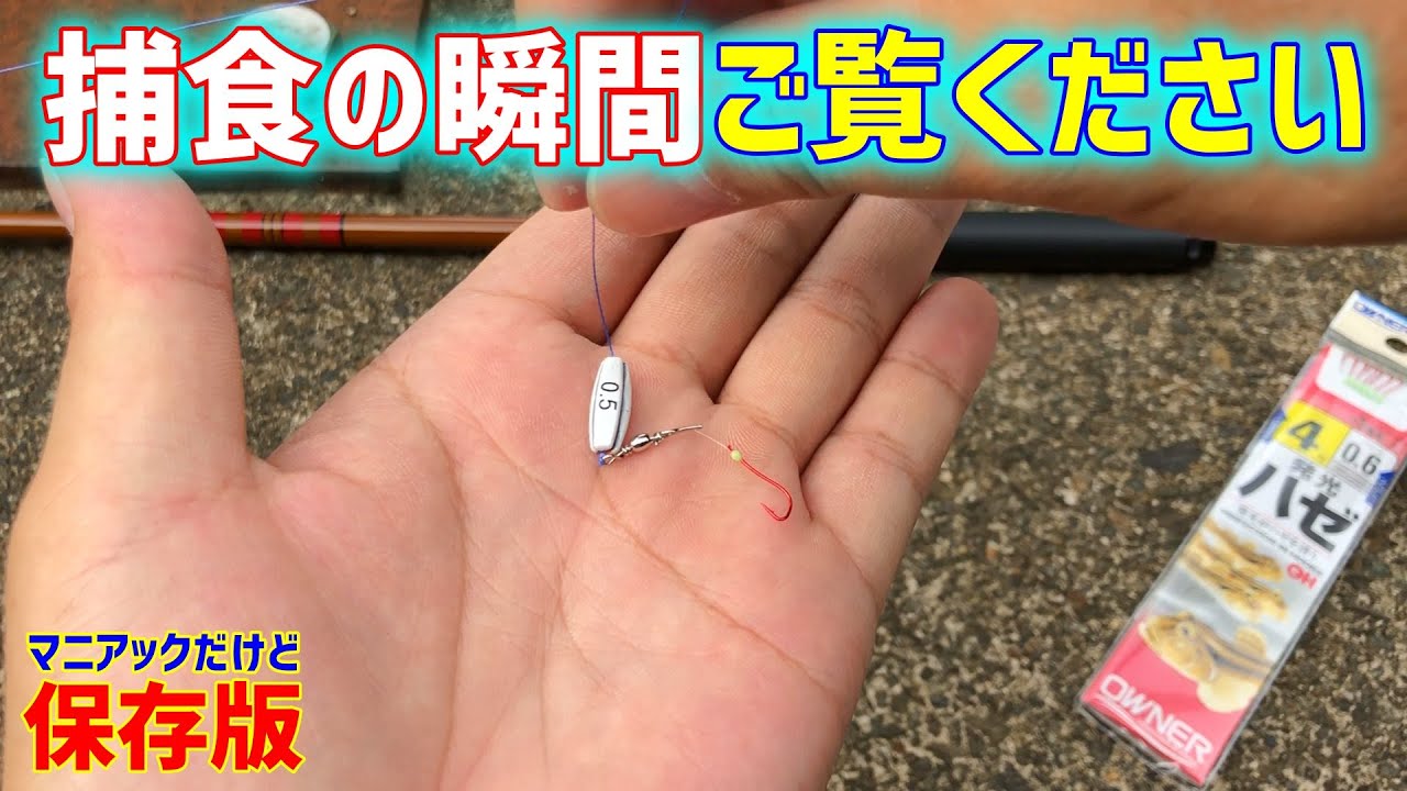 【ハゼ釣り仕掛け】簡単シンプルでよく釣れる仕組みを徹底考察