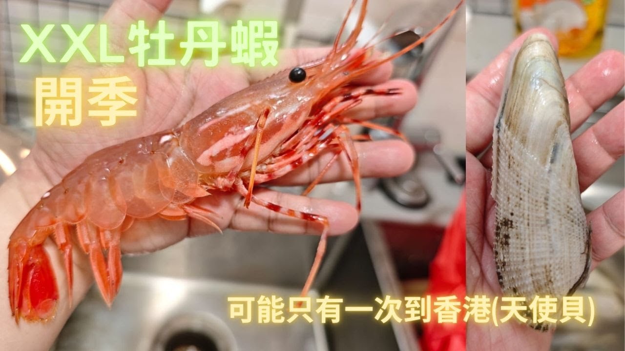 游水牡丹蝦😍加拿大斑點蝦🎊開季了, 再試特別貝類（粟米貝又叫天使貝）象拔蚌+花蛤+蠔混合體🤤~fishcutting香港海鮮~社長遊街市Seafood