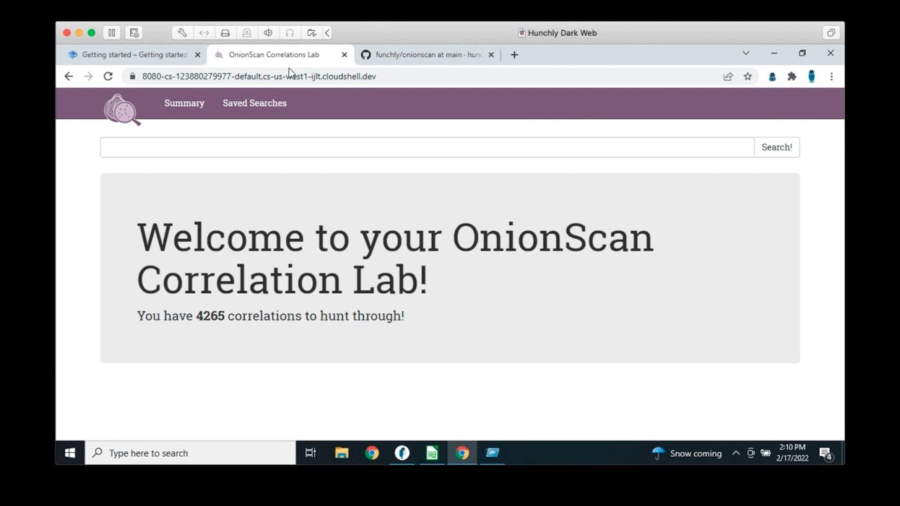 Preserve, Scan and Analyze Tor Hidden Services