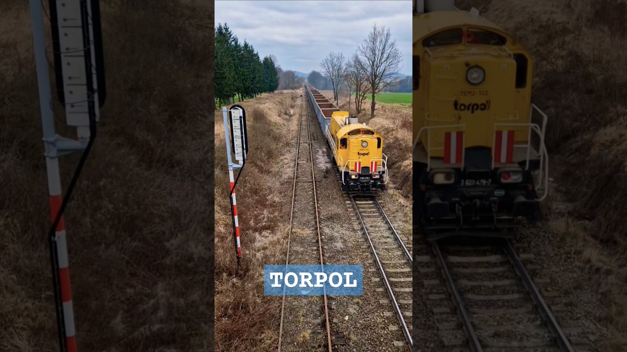Tamara TEM2-102 Torpolu z pr&oacute;żnym składem do Ścinawki Średniej mija semafory wjazdowe   #torpol