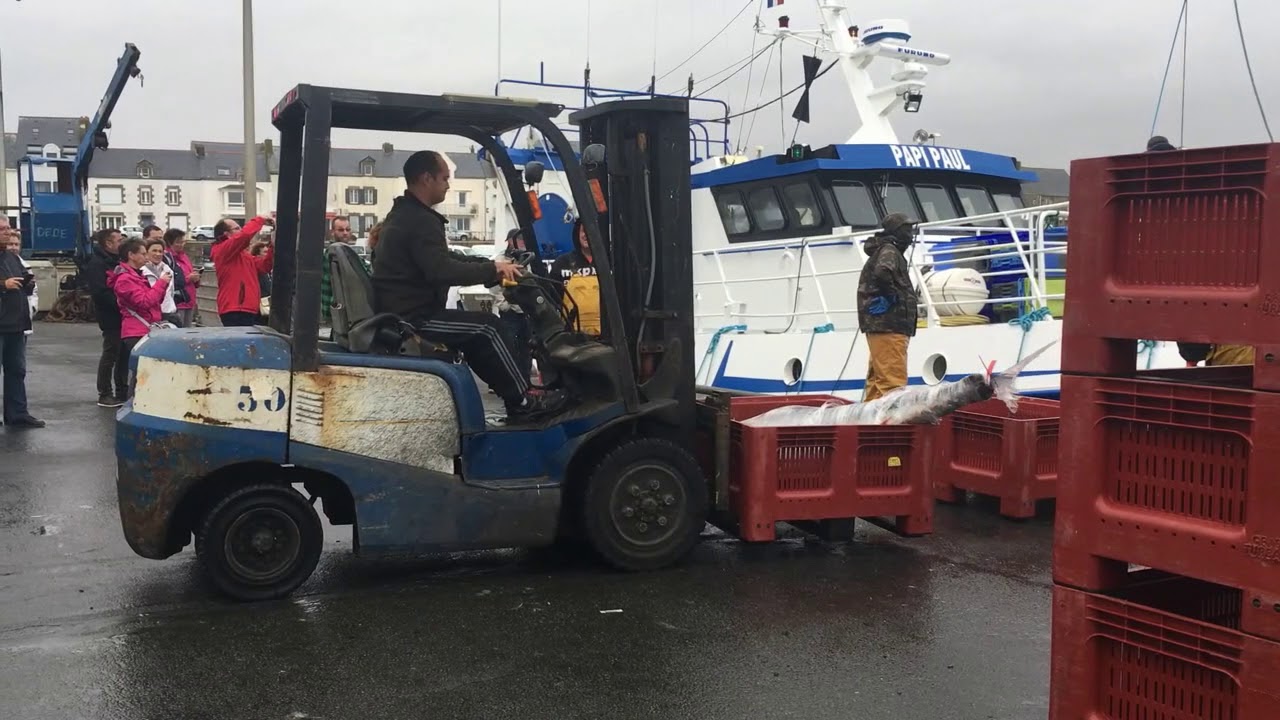 Pêche aux thons La Turballe.