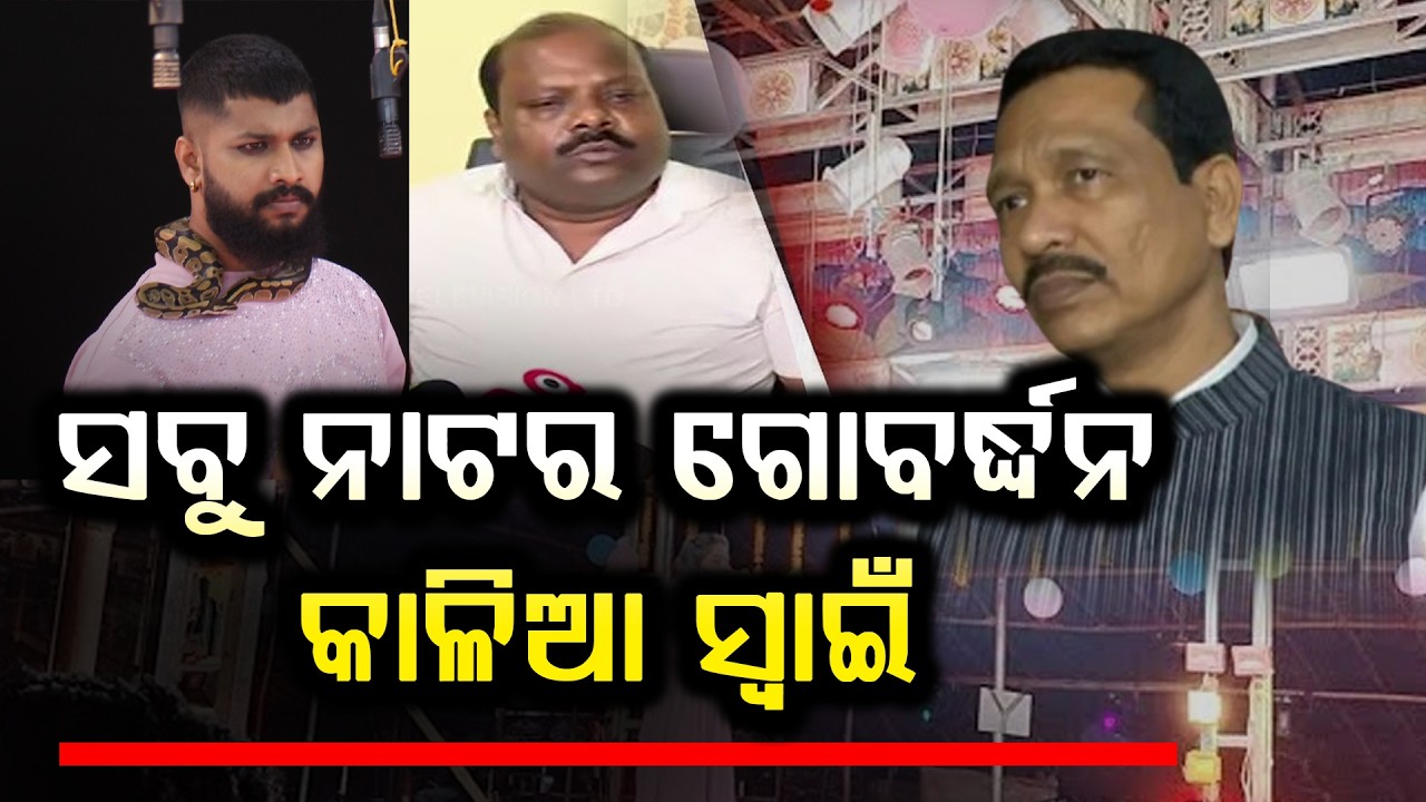 ସବୁ ନାଟର ଗୋବର୍ଦ୍ଧନ କାଳିଆ ସ୍ୱାଇଁ  ll FOCUS PLUS ||