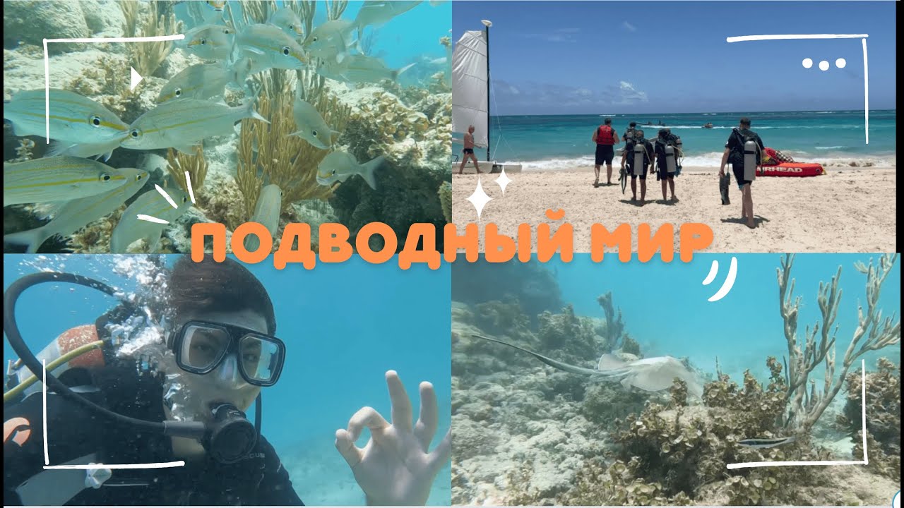 #отдых #америка МЫ ПРОДОЛЖАЕМ отдыхать/ПОДВОДНЫЙ МИР