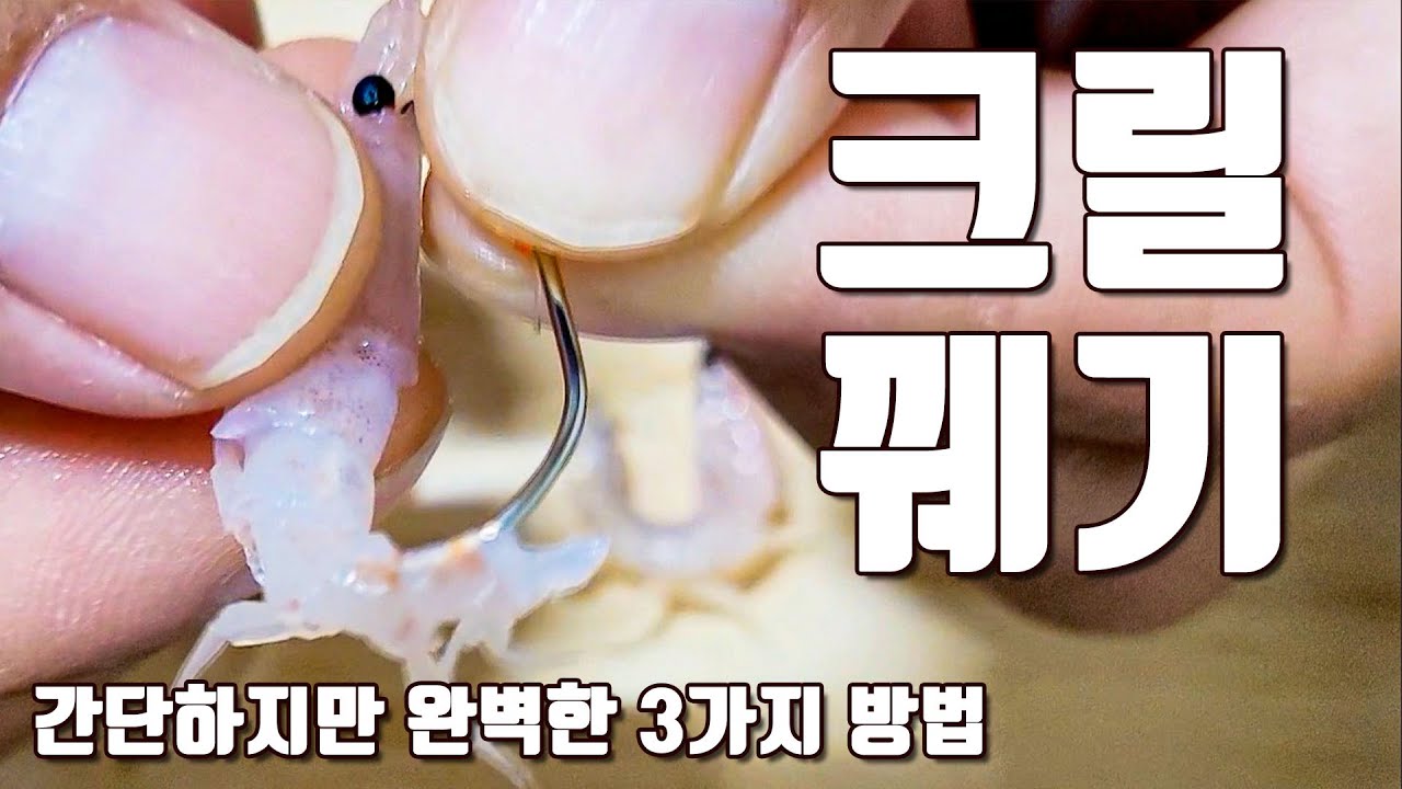 [다리tv] 크릴 새우 끼우는 법!!! 쉽지만 완벽한 3가지 방법!!!