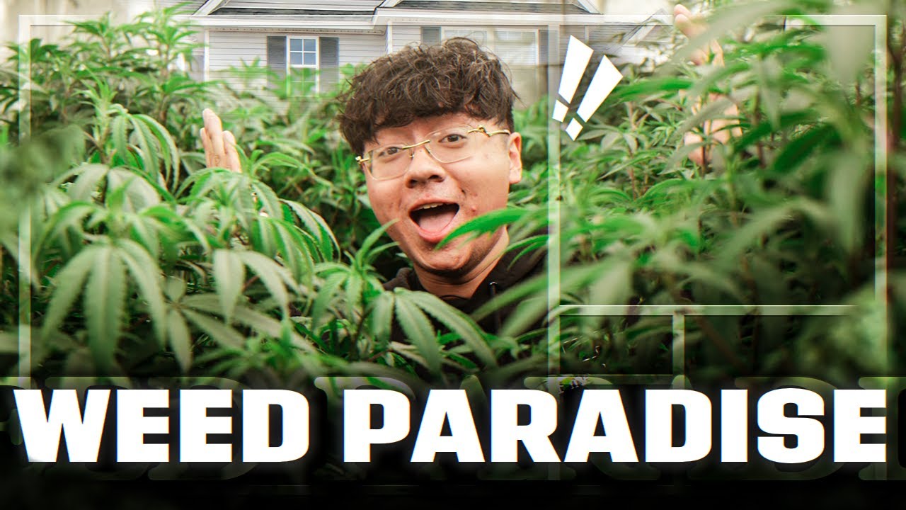Erick Khan REACTS To MULTI MILLION WEED FACILITY