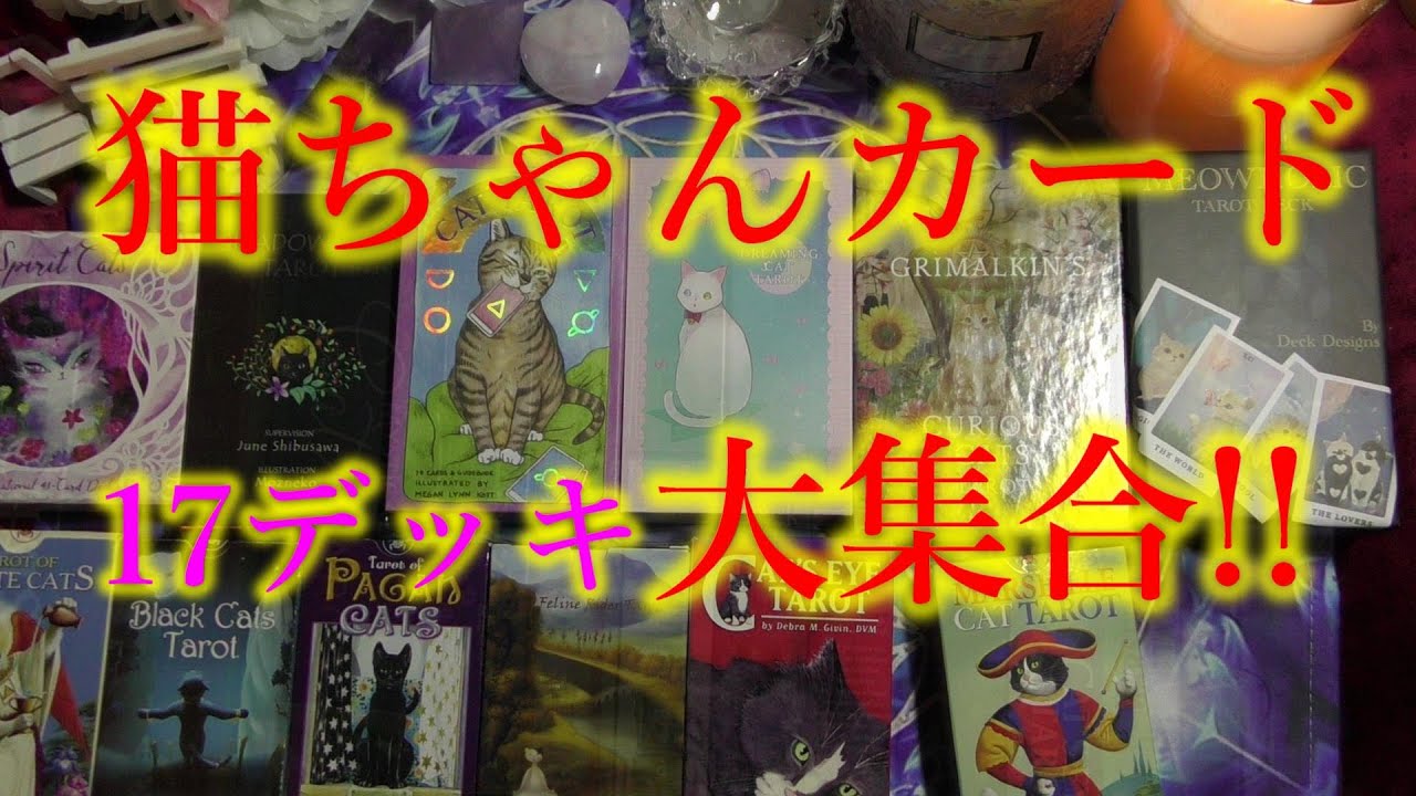 猫ちゃんカード、全17デッキ大集合!!　可愛い猫ちゃんがいっぱいです💕(〃∇〃) 【簡単リーディング🌙年内のメッセージ💓】