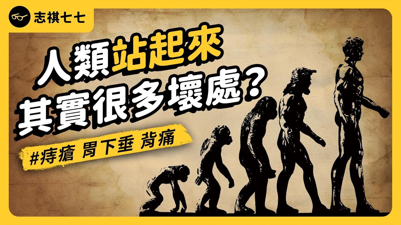 人類的🥚🥚其實很大顆？為何我們要有月經？演化ㄟ謎團大集合！《七七說書》EP 061｜志祺七七
