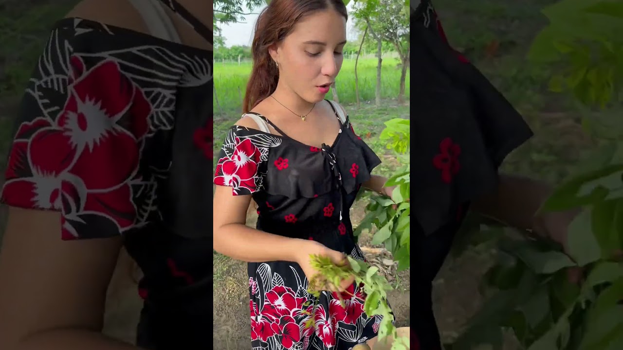 Mi hermana me hizo un desodorante natural.