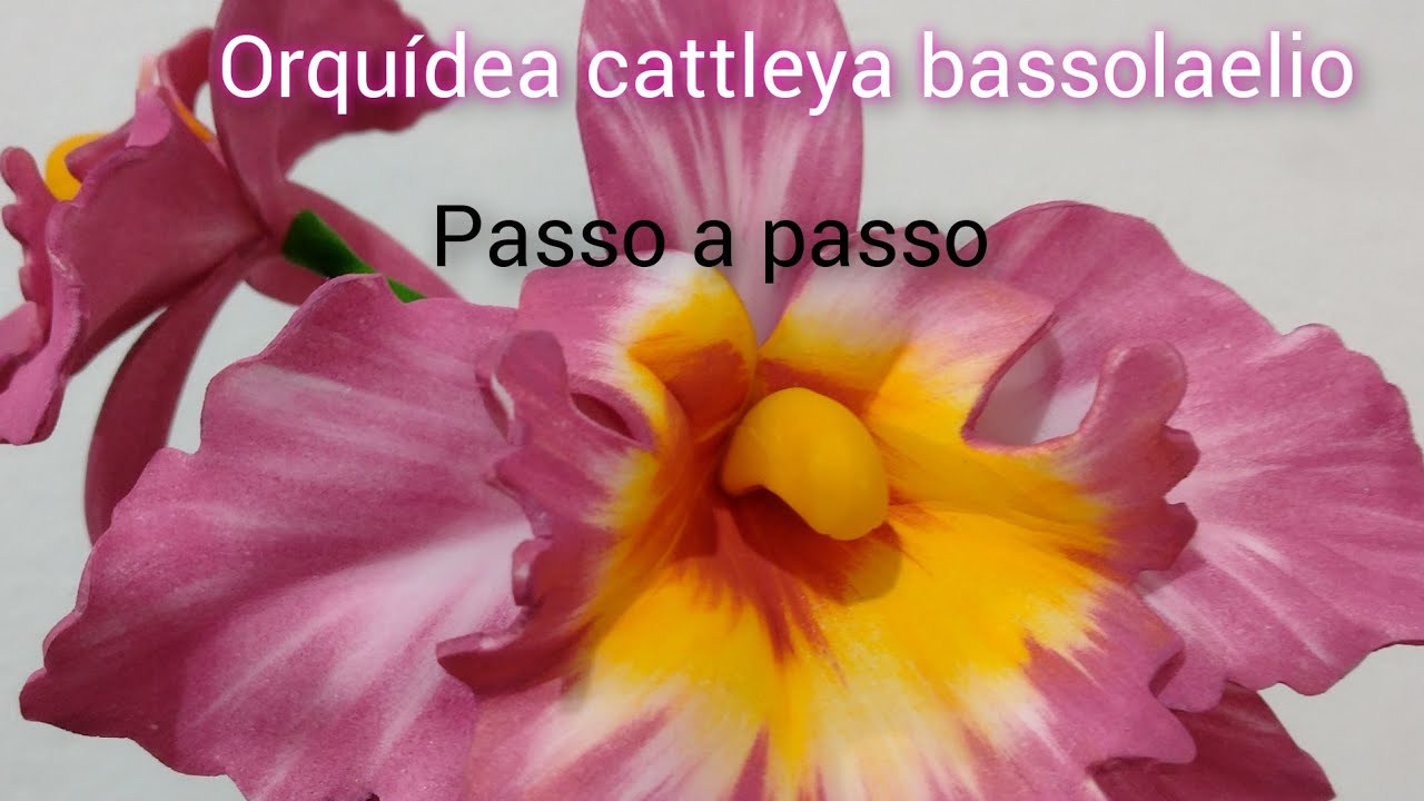 como fazer orquídea cattleya bassolaelio com efeito realista passo a passo