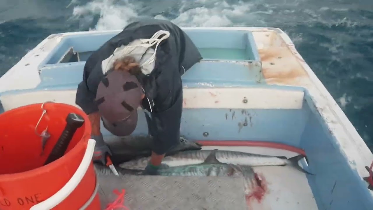 WILDCARD - Hot Spanish Mackerel session - Commercial Fishing