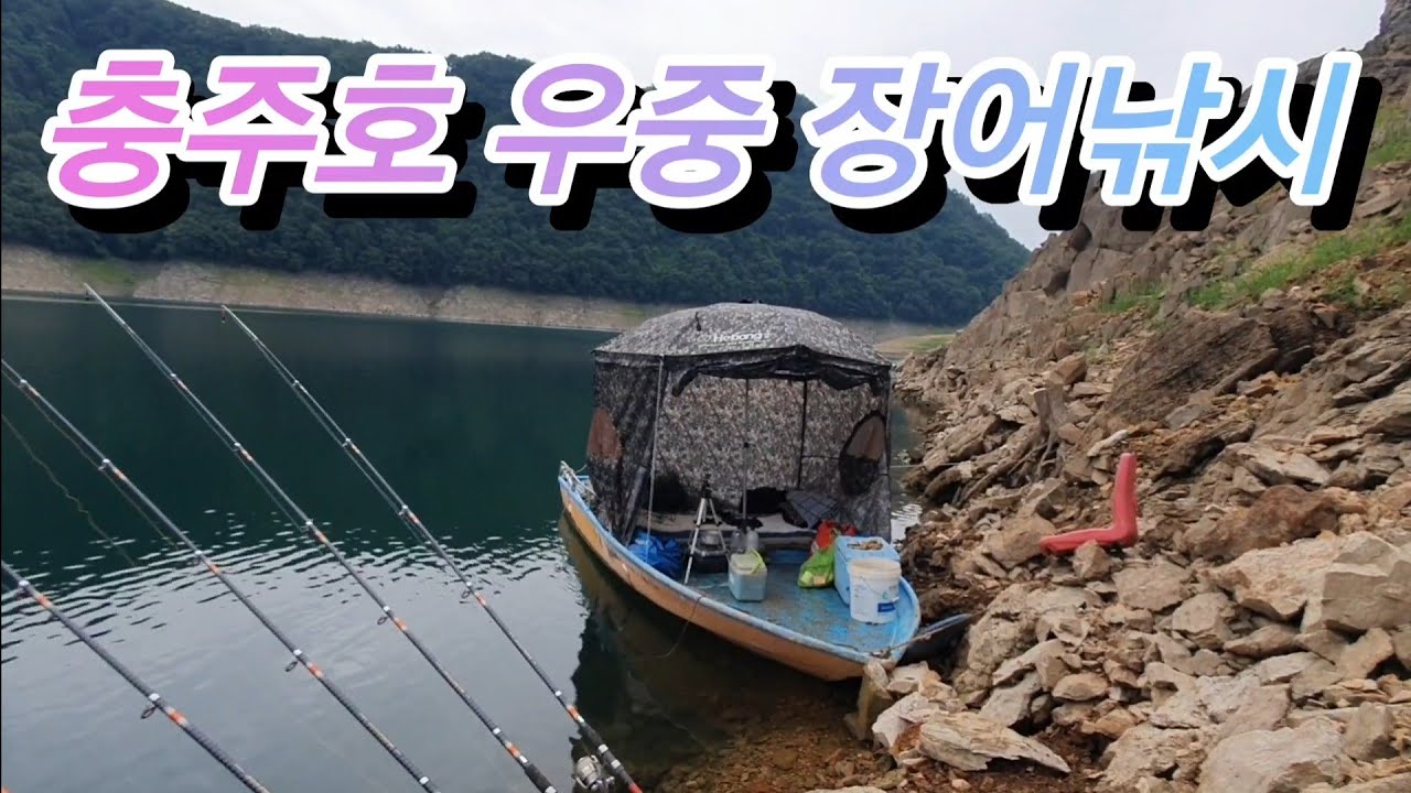 [낚시]충주호 우중 장어낚시/안정수위/미라실 마을