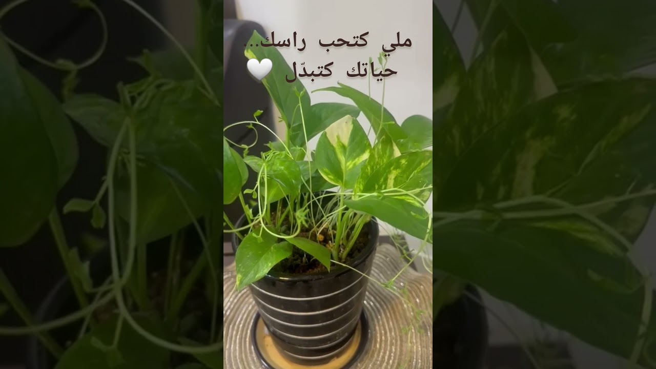 ملي كتحب راسك… حياتك كتبدّل من الداخل | كلام من القلب
