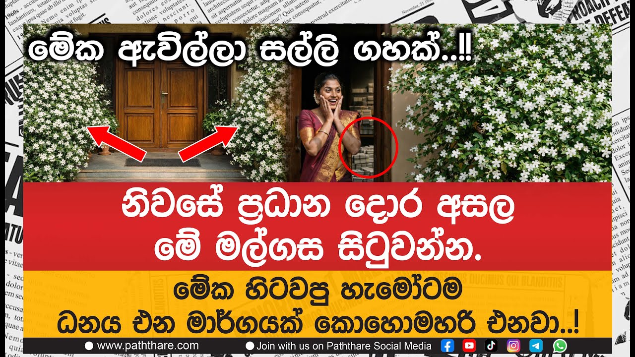 නිවසේ ප්‍රධාන දොර අසල මේ මල්ගස සිටුවන්න. මේක හිටවපු හැමෝටම ධනය එන මාර්ගයක් කොහොමහරි එනවා..!