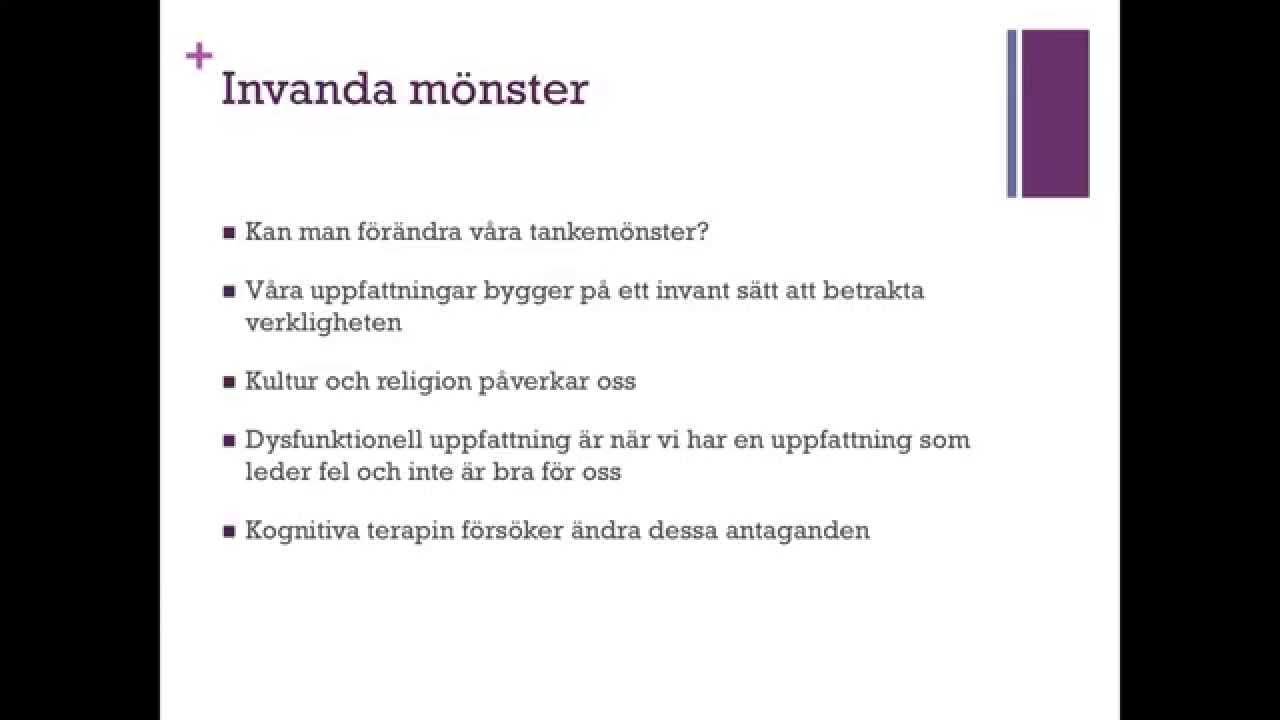 Kognitiva perspektivet