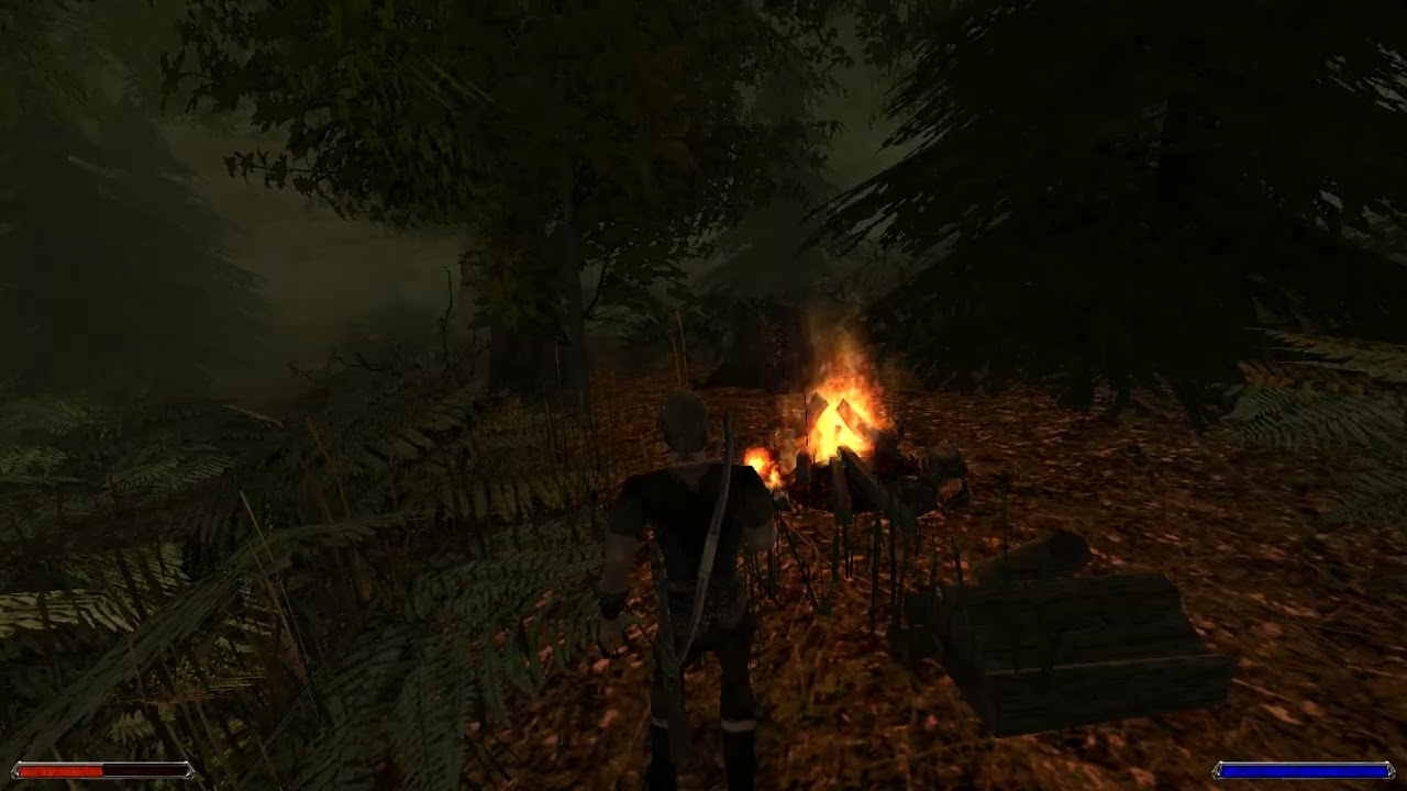 Gothic 2 Noc Kruka Ale to Paladyn odc.1