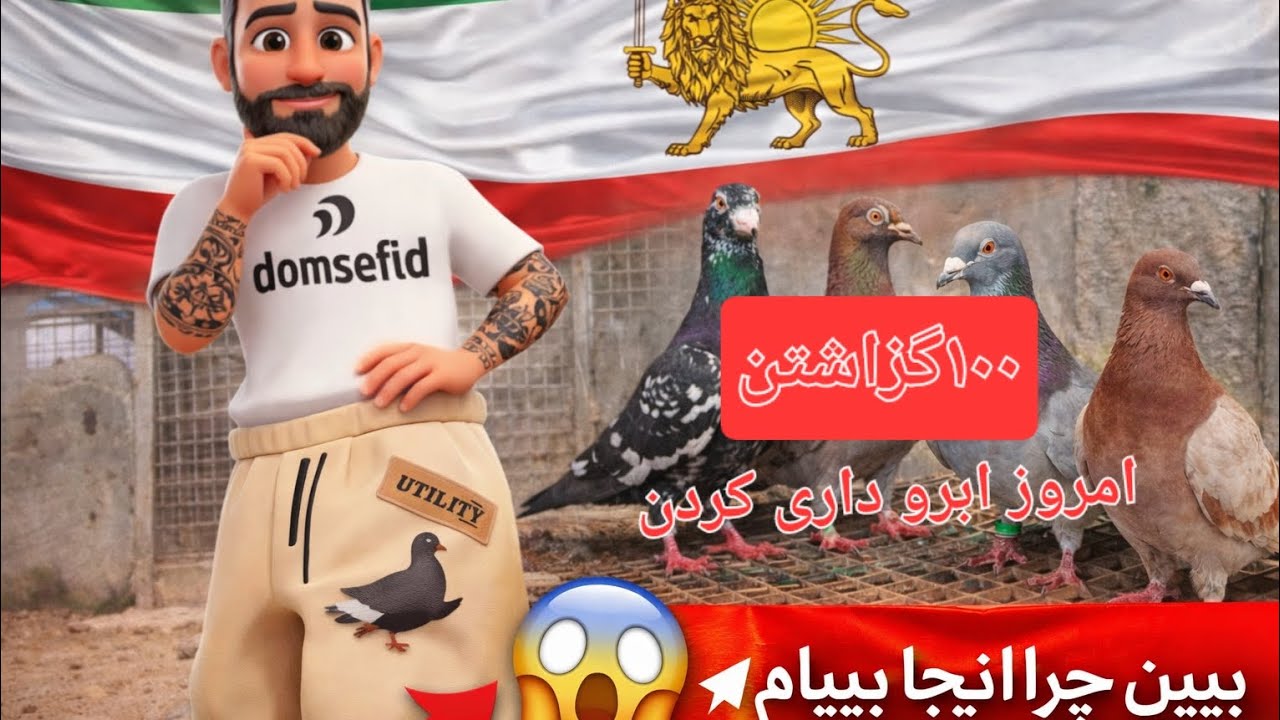 مهارت کفترای سرور ک اوردیم 