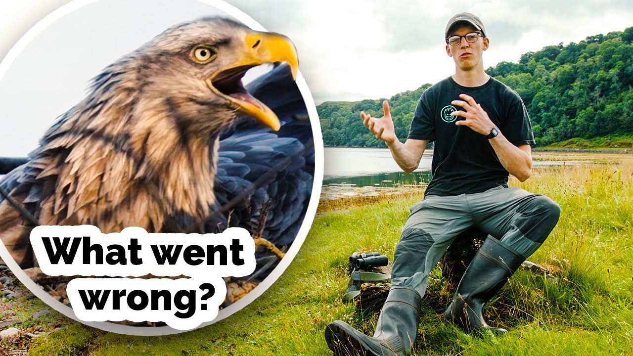 Why is filming EAGLES so hard? Interview with Wildlife Cameraman | Gone Feral Wildlife & Adventure
