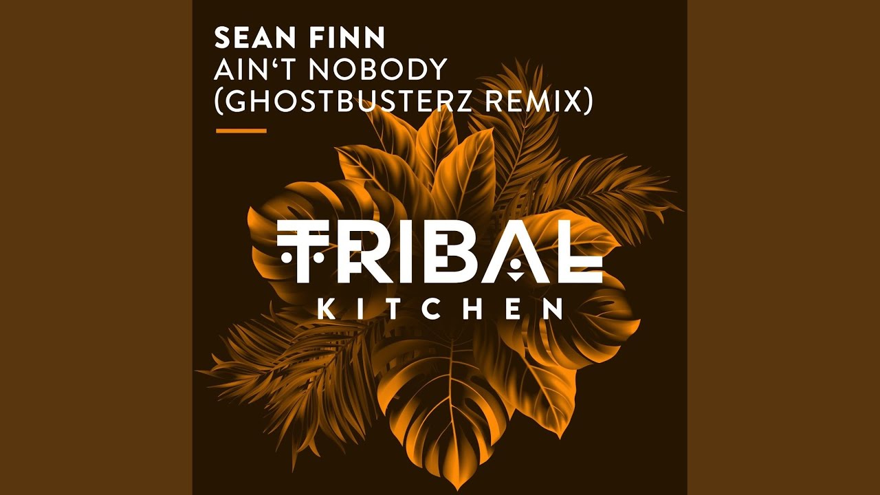 Ain't Nobody (Ghostbusterz Euro Extended Remix)